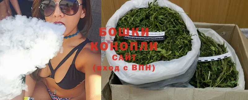 где можно купить наркотик  Краснознаменск  Бошки марихуана OG Kush 